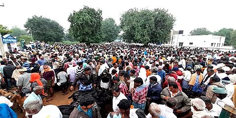 பொங்கல் பண்டிகை: தருமபுரி வாரச் சந்தையில் ஒரே நாளில் ரூ. 6.5 கோடிக்கு விற்பனையான ஆடுகள்