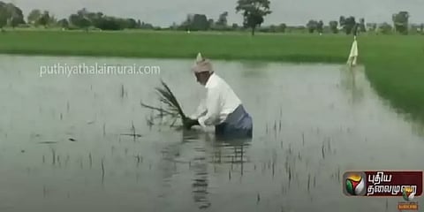கடலூர்: தொடரும் கனமழையால் வெள்ளத்தில் மிதக்கும் பயிர்கள்!