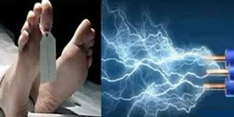 தஞ்சையில் துயரம்: மின்சாரம் தாக்கி 2 சிறுவர்கள் உயிரிழப்பு