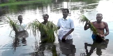நாகப்பட்டினம்: கனமழையால் 10 ஆயிரம் ஏக்கர் நெற்பயிர்கள் நீரில் முழ்கி சேதம்