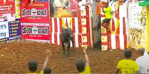 அலங்காநல்லூர் ஜல்லிக்கட்டு: "முடிஞ்சா தொட்டுப் பாரு!" - 5 நிமிடங்களாக கெத்து காட்டிய காளை!