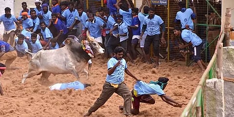 சிவகங்கை: சிராவயல் மஞ்சுவிரட்டு போட்டியில் மாடு முட்டி இருவர் உயிரிழப்பு!