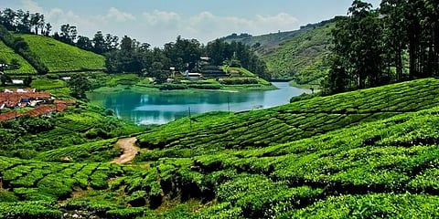 வனப்பகுதிகளில் ஆக்கிரமிப்பாளர்களை அகற்றவில்லை என்றால் காடுகள் அழியும் - உயர்நீதிமன்ற கிளை