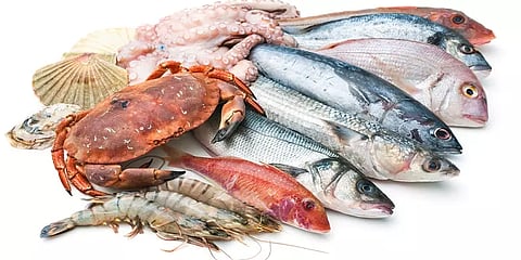 கடல் உணவுகளில் அதிகரிக்கும் உலோகங்கள்... மீன் பிரியர்களின் நிலை என்ன?