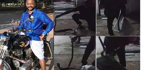 பாம்பை பிடிக்க முயன்ற முன்னாள் ராணுவ வீரருக்கு சோக முடிவு: பதைபதைக்கும் காட்சிகள்