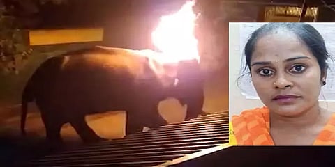 மசினக்குடி மக்கள் மீது அவதூறு: டிக்-டாக் சூர்யா மீது நடவடிக்கை எடுக்கக் கோரி புகார்!