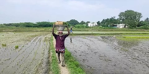 குறையும் பறவைகள் வரத்து; இயற்கை விவசாயத்திற்குமாறும் வேடந்தாங்கல் விவசாயிகள்: காரணம் என்ன?