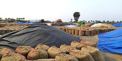 ஈரோடு: மழையிலும், பனியிலும் நெல் மூட்டைகள்... கூடுதல் கொள்முதல் நிலையம் திறக்க கோரிக்கை!