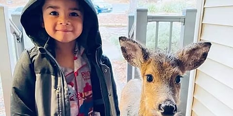 விளையாட சென்றுவிட்டு மான் குட்டியுடன் திரும்பி வந்த சிறுவன்..!