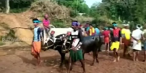 கர்நாடகாவில் எருது பந்தயம்: தண்ணீரில் சீறிவந்த எருதுகள் (வீடியோ)
