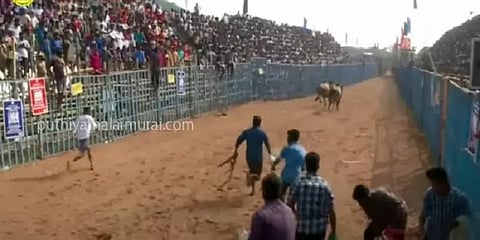 திருப்பூர் மாவட்டம் அலகுமலையில் விறுவிறுப்பாக நடைபெற்ற ஜல்லிக்கட்டு (வீடியோ)