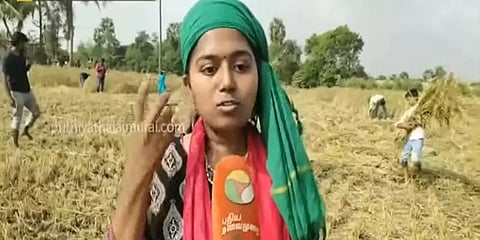 நெல் அறுவடை: பேஸ்புக்கில் அழைப்பு விடுத்த விவசாயி.. வயலில் குவிந்த தன்னார்வலர்கள்