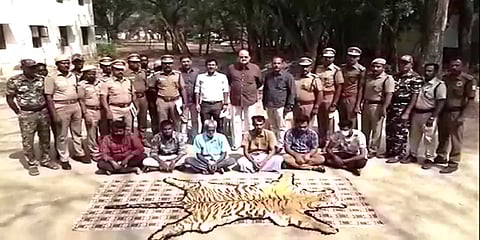 பொள்ளாச்சி: 40 ஆண்டு பழமையான புலித்தோலை ரூ. 3கோடிக்கு விற்க முயன்று சிக்கிய கும்பல்