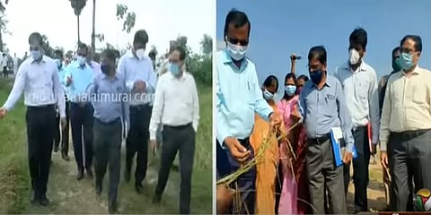 மழையால் பயிர்கள் பாதிப்பு: தஞ்சை, திருவாரூரில் மத்தியக் குழுவினர் ஆய்வு!