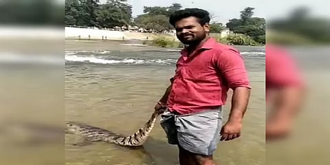 திருச்சி: முதலையை பிடித்து விளையாடும் இளைஞர்கள்...வனத்துறையினர் விசாரணை