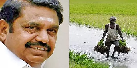 சேலம் மண்டலத்தில் அதிக அளவு பயிர்க்கடன் -விவரம்!