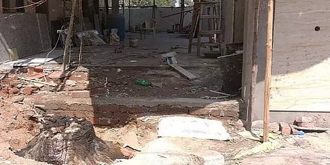 ''வேப்பமரத்தை வெட்டிட்டாங்க; ஆக்ஷன் எடுங்க..'' - வனத்துறைக்கு போன் போட்ட சிறுவன்!