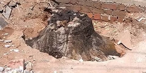 பள்ளி மாணவரின் புகாரால் சிக்கிய நபர்... மரத்தை வெட்டியதற்காக ரூ.62,075 அபராதம்!