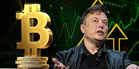 PT Web Explainer: விஸ்வரூபம் எடுக்கும் பிட்காயின்... விபரீதங்களால் பெருகும் கவலைகள்!