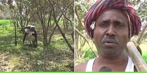 ஒற்றை ஆளாக 10 ஆயிரம் மரங்களை நட்டு குறுங்காட்டை உருவாக்கிய பீகார் மனிதர்..!