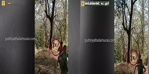 கூடலூர்: துரத்திய காட்டு யானை... நூலிழையில் உயிர்தப்பிய தம்பதி!