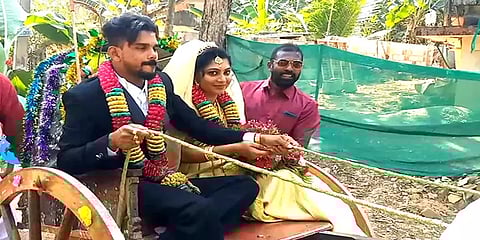 கன்னியாகுமரி: தமிழ் கலாசாரத்தை காக்க மாட்டு வண்டியில் ஊர்வலமாக வந்த மணமக்கள்