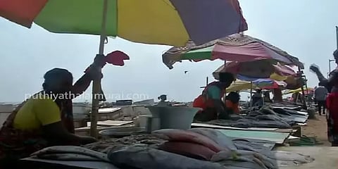 நிரந்தர மீன் மார்க்கெட் அமைக்கப்பட வேண்டும் - மயிலாப்பூர் தொகுதி மக்கள் கோரிக்கை