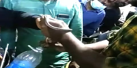 “பாம்பு.. பாம்பு..பாம்பு” பைக்கில் புகுந்த கொம்பேறி மூக்கன்.. பதறி சத்தமிட்ட பெண்