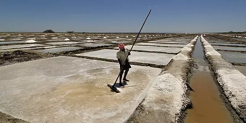 கனமழை: மூழ்கிய 3,500 ஏக்கர் உப்பளம் - 2,000க்கும் மேற்பட்ட தொழிலாளர்கள் வேலையிழப்பு