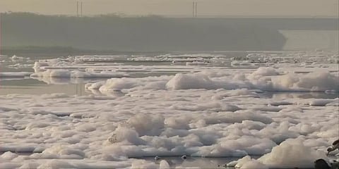 யமுனை ஆற்றை மூடிய நச்சு நுரை படலம்.. காரணம் என்ன?