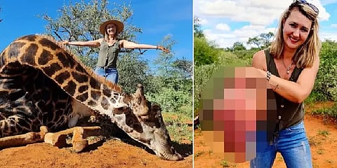 ஒட்டகச்சிவிங்கியின் இதயத்தை காதலர் தின பரிசாக கொடுத்த பெண்: வலுக்கும் கண்டனம்!