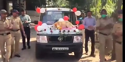 11 வருட சேவைக்கு மரியாதை.. பிரிவு உபசார விழாவுடன் ஓய்வுபெற்ற மோப்ப நாய்!