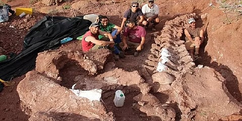 ஆராய்ச்சியாளர்களையே மிரள வைத்த டைனோசர் புதைப்படிவம்! அர்ஜெண்டினாவில் கண்டெடுப்பு