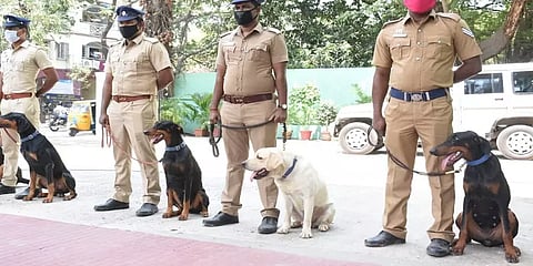 ''பயிற்சி முடிந்தது; இனி பணி தான்' - சென்னை ரயில்வே காவல்துறைக்கு புதிதாக 4 மோப்ப நாய்கள்!