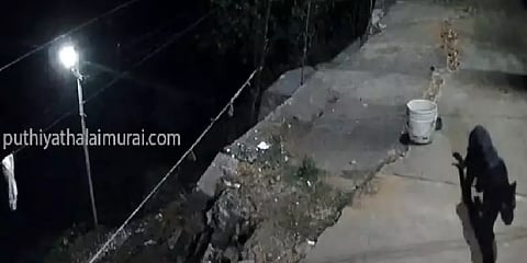 குடியிருப்புக்குள் நுழைந்து நாயை கடித்து இழுத்துச் செல்லும் கருஞ்சிறுத்தை!