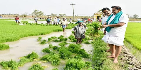எடப்பாடி தொகுதி: "ஜவுளி பூங்கா வாக்குறுதி என்ன ஆச்சு?"