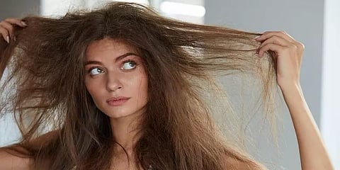 வெயில்காலத்தில் முடியை பராமரிக்க சில டிப்ஸ்!