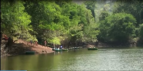 ஓராண்டுக்கு பின்னர் மீண்டும் தொடங்கியுள்ள பரளிக்காடு சூழல் சுற்றுலா!