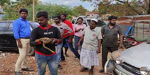 தென்காசி: காருக்குள் புகுந்த சாரைப்பாம்பு - 3 மணி நேர போராட்டத்திற்கு பின் பிடிபட்டது