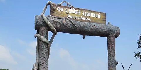கோடியக்கரையில் வன விலங்குகள் கணக்கெடுப்பு பணி தொடங்கியது
