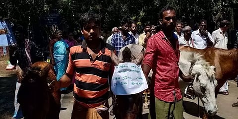 “காசு கொடுத்து ஓட்டு வாங்க நினைத்தால் கழுதைகூட வாக்களிக்காது”–எதிர்ப்பை பதிவு செய்த மக்கள்