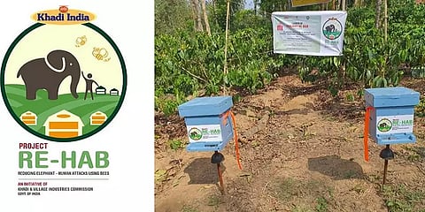 யானைகள் - மனிதர்கள் மோதலைத் தடுக்க தேனீ கூண்டுகள்: கர்நாடகாவில் புது முயற்சி!