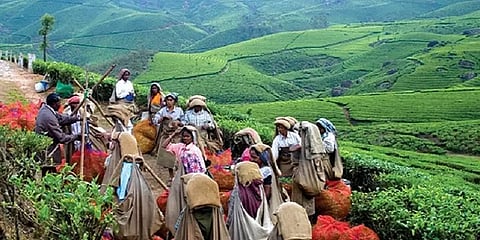 இடுக்கியின் 3 தொகுதிகளில் வெற்றியைத் தீர்மானிக்கும் தமிழர்கள்... களமிறங்கிய அதிமுக!