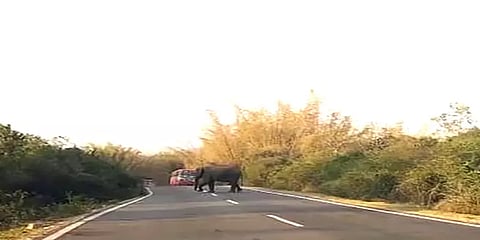 சத்தியமங்கலத்தில் சாலையை மறித்து நின்ற ஒற்றை காட்டு யானை - மிரண்டுபோன வாகன ஓட்டிகள்