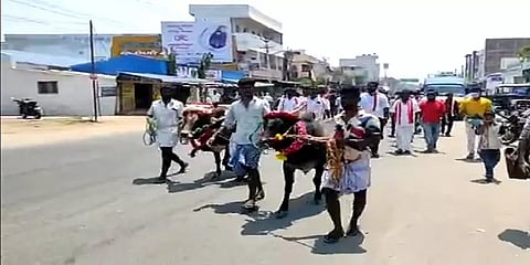 நத்தம்: ஜல்லிக்கட்டு காளைகளுடன் வந்து வேட்புமனு தாக்கல் செய்த ஐஜேகே வேட்பாளர்