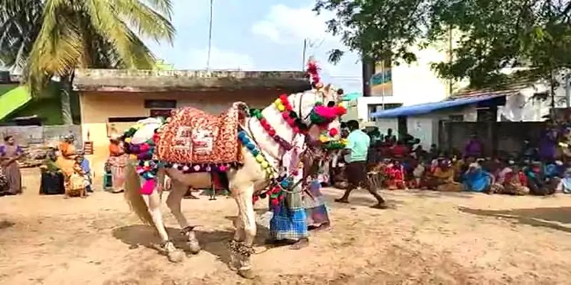 தாளம் தப்பாமல் ஆட்டம்போட்ட அலங்கார குதிரை... தேர்தல் களத்தில் சுவாரஸ்யம்!