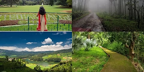 குறைவான பட்ஜெட்... இதமான அனுபவம்... - கோடைக்கு உகந்த 4 சுற்றுலா தலங்கள்!