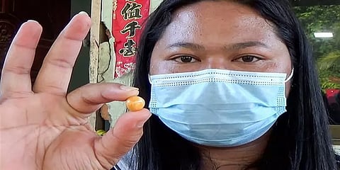 தாய்லாந்து : நத்தையில் புதைந்திருந்த அரிய முத்து மணியால் கோடீஸ்வரரான பெண்!