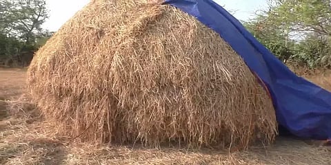 மணப்பாறை: எம்.எல்.ஏ உறவினர் வீட்டில் வைக்கோல்போரில் மறைத்துவைக்கப்பட்ட ரூ.1 கோடி பறிமுதல்