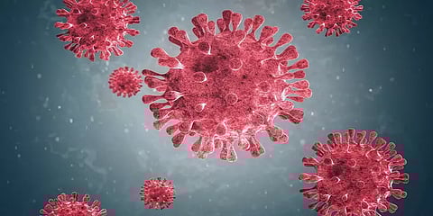 கொரோனா வைரஸ் பரவியது எப்படி? - நிபுணர் குழு அறிக்கை